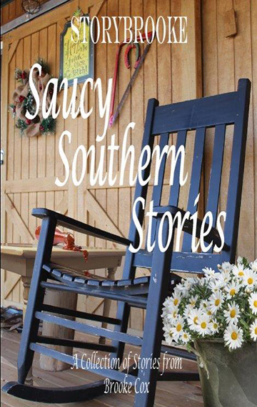 Saucy Southern Stories – Vol. 1